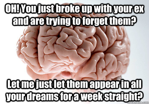 OH! You just broke up with your ex and are trying to forget them? Let me just let them appear in all your dreams for a week straight?    Scumbag Brain