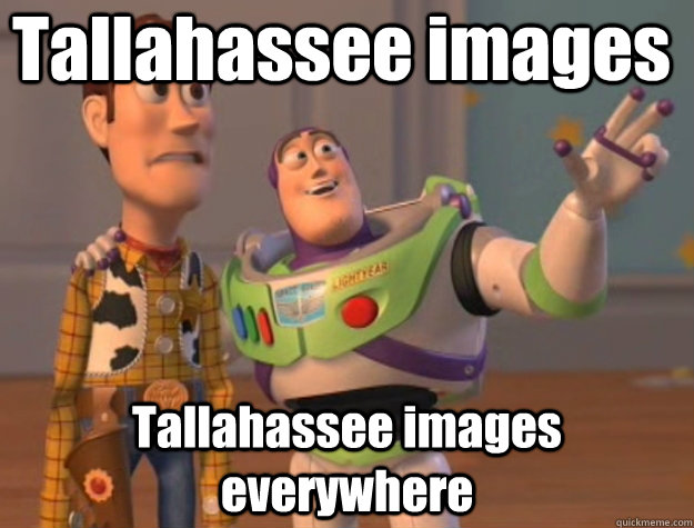Tallahassee images Tallahassee images everywhere  Pinks everywhere