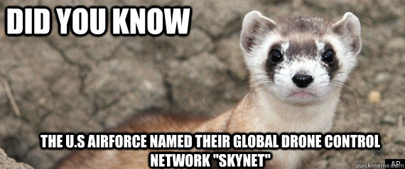 Did you know the U.S airforce named their global drone control network 