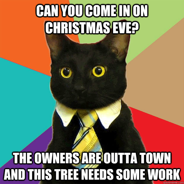 Can you come in on christmas eve? The owners are outta town and this tree needs some work  Business Cat