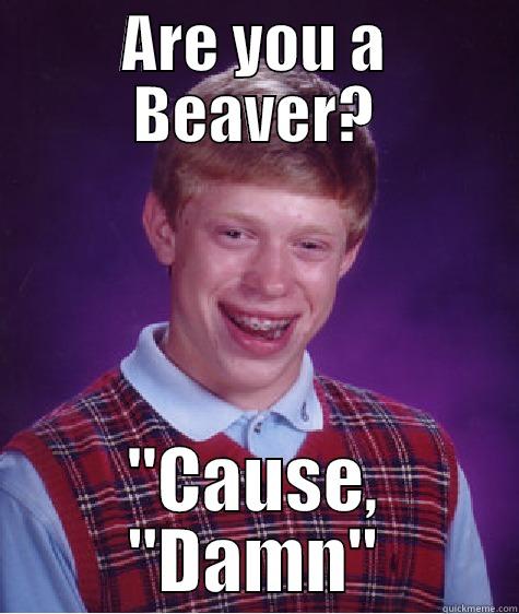 ARE YOU A BEAVER? 