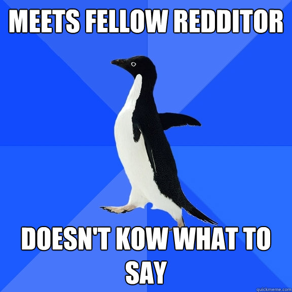 MEETS FELLOW REDDITOR  DOESN'T KOW WHAT TO SAY  Socially Awkward Penguin