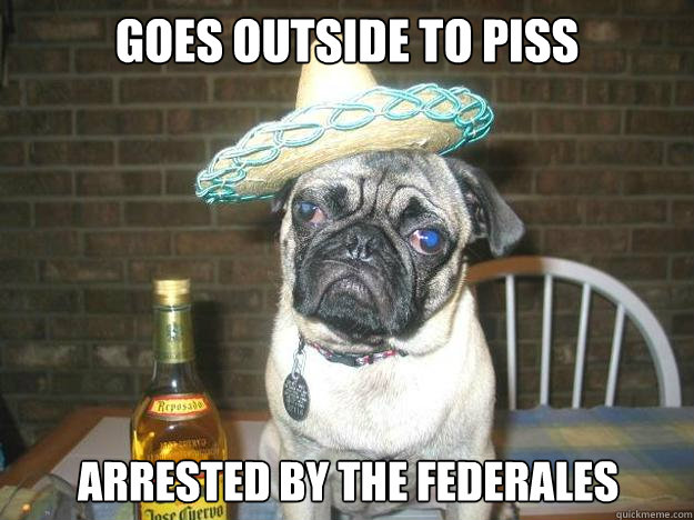 goes outside to piss arrested by the federales - goes outside to piss arrested by the federales  Vacation dog