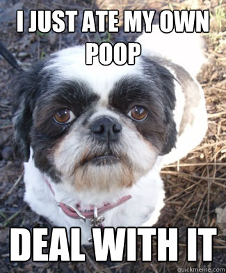 I just ate my own poop deal with it - I just ate my own poop deal with it  Misc