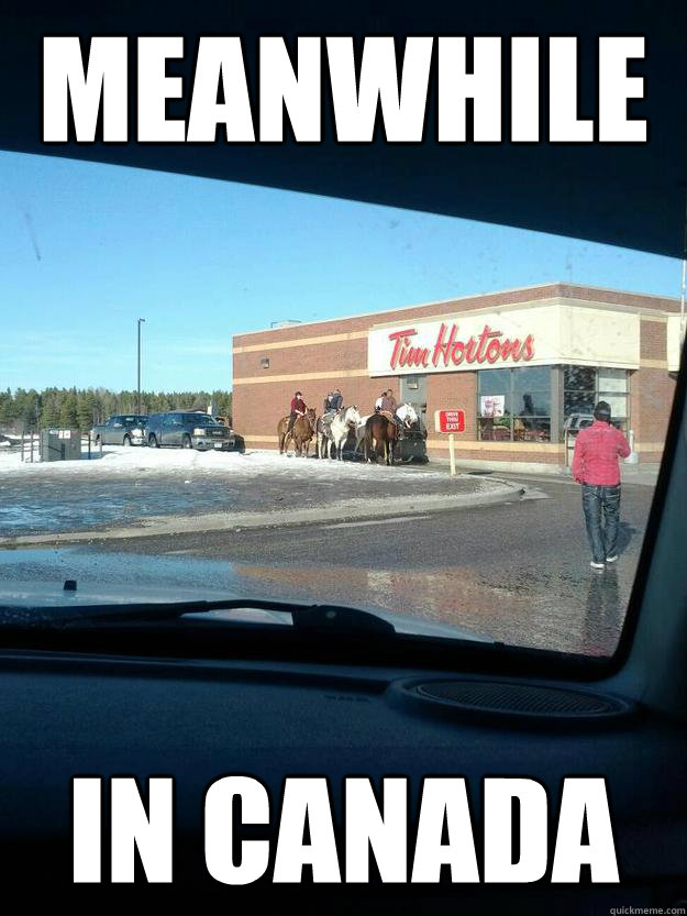 Meanwhile In Canada - Meanwhile In Canada  Misc