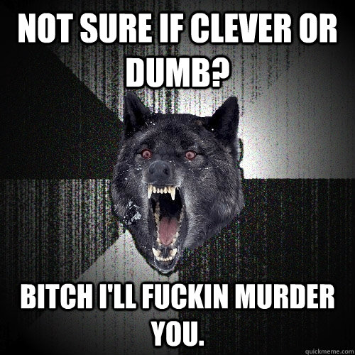 Not sure if clever or dumb?  Bitch I'll fuckin murder you.   Insanity Wolf