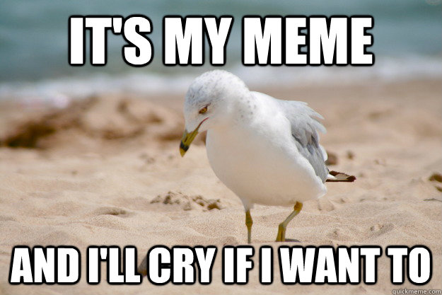 It's my Meme And I'll cry If I want to  Sad Seagull