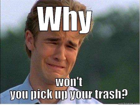 WHY  WON'T YOU PICK UP YOUR TRASH? 1990s Problems