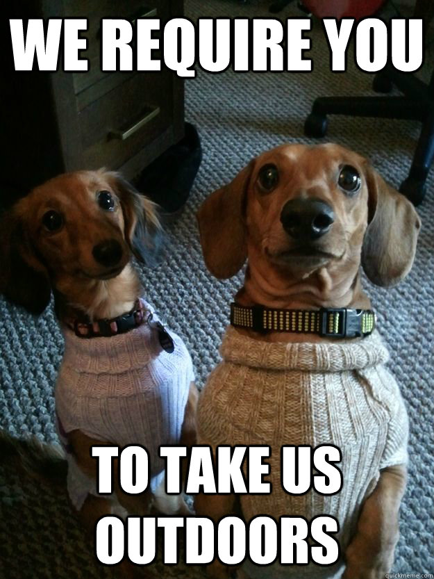 We require you  To take us outdoors - We require you  To take us outdoors  Misc