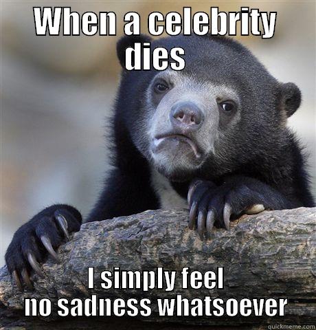 WHEN A CELEBRITY DIES I SIMPLY FEEL NO SADNESS WHATSOEVER Confession Bear
