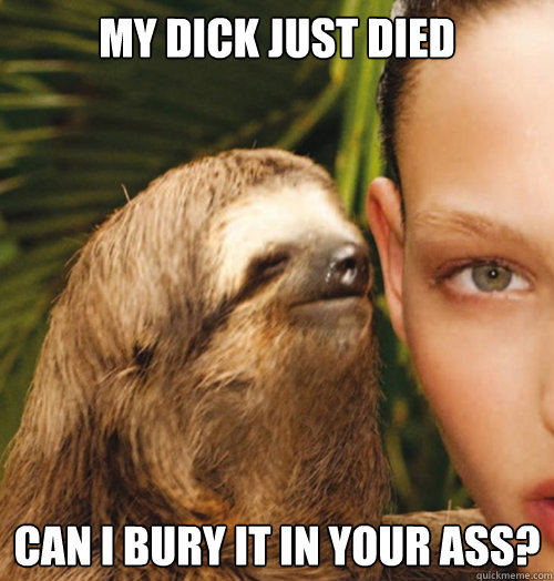 My Dick just died can i bury it in your ass? - My Dick just died can i bury it in your ass?  Whispering Sloth