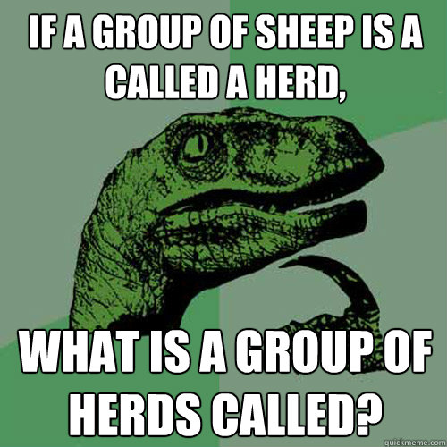 IF A GROUP OF SHEEP IS A CALLED A HERD, WHAT IS A GROUP OF HERDS CALLED?  Philosoraptor
