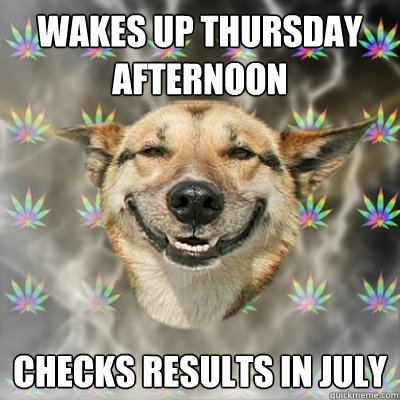Wakes Up thursday afternoon Checks results in July  Stoner Dog