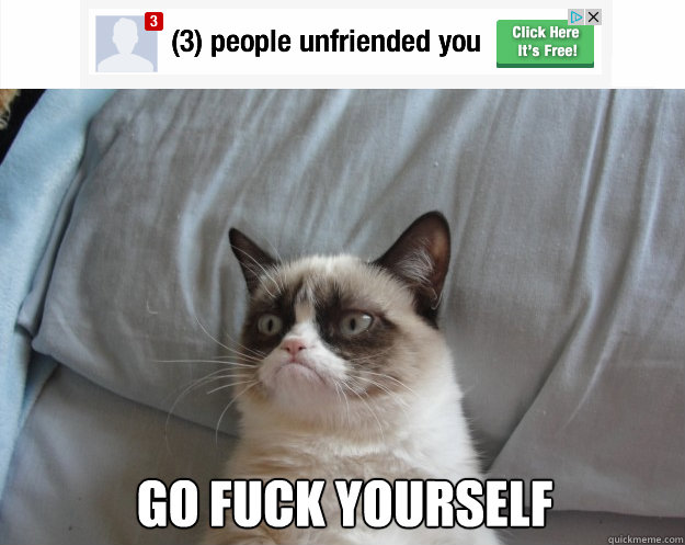 Go Fuck Yourself  Grumpy Cat on Being Unfriended