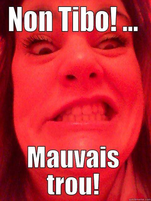 NON TIBO! ... MAUVAIS TROU! Misc