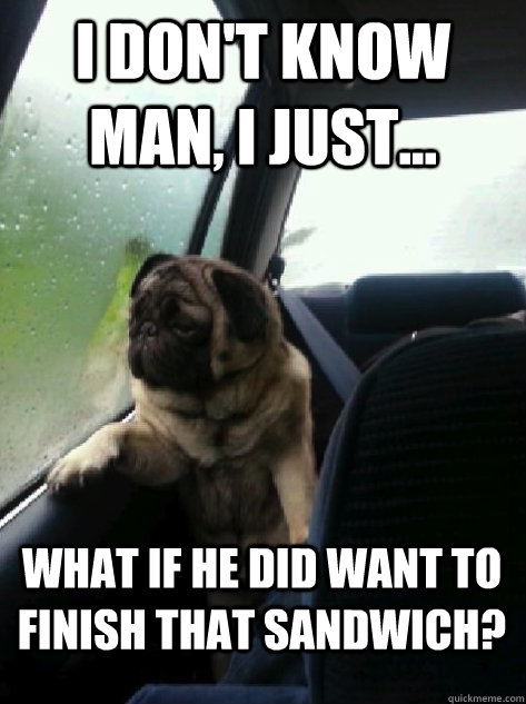 I don't know man, I just... what if he did want to finish that sandwich?  Introspective Pug