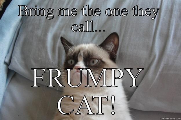 There can only be one... - BRING ME THE ONE THEY CALL... FRUMPY CAT! Grumpy Cat