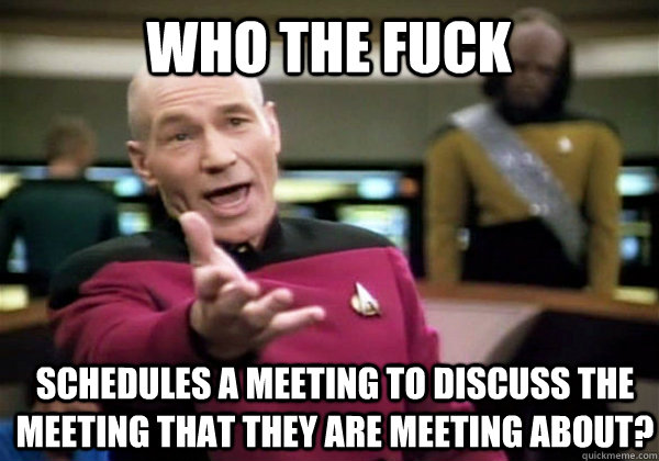 Who the fuck schedules a meeting to discuss the meeting that they are meeting about?  Patrick Stewart WTF