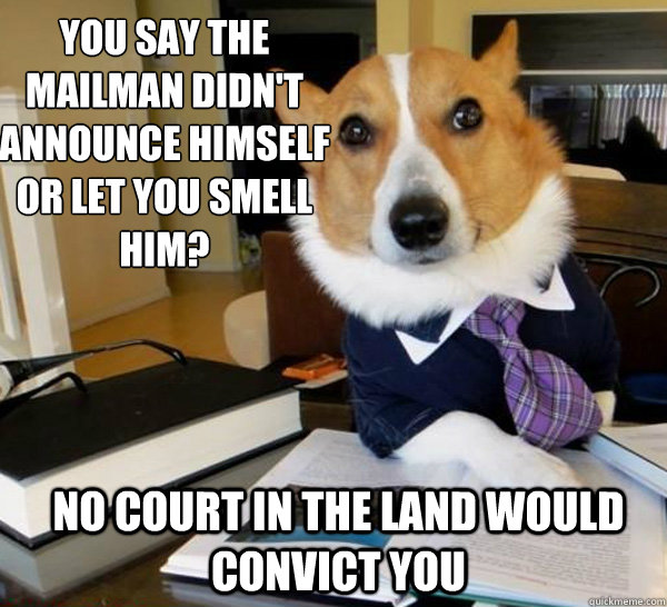 You say the mailman didn't announce himself or let you smell him?
 No court in the land would convict you - You say the mailman didn't announce himself or let you smell him?
 No court in the land would convict you  Lawyer Dog