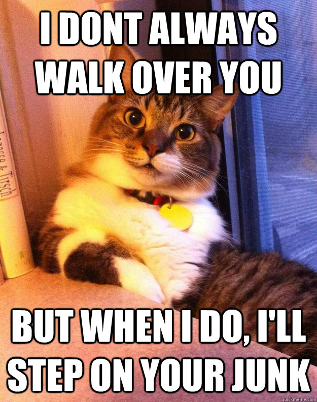 i dont always walk over you but when I do, I'll step on your junk - i dont always walk over you but when I do, I'll step on your junk  Misc