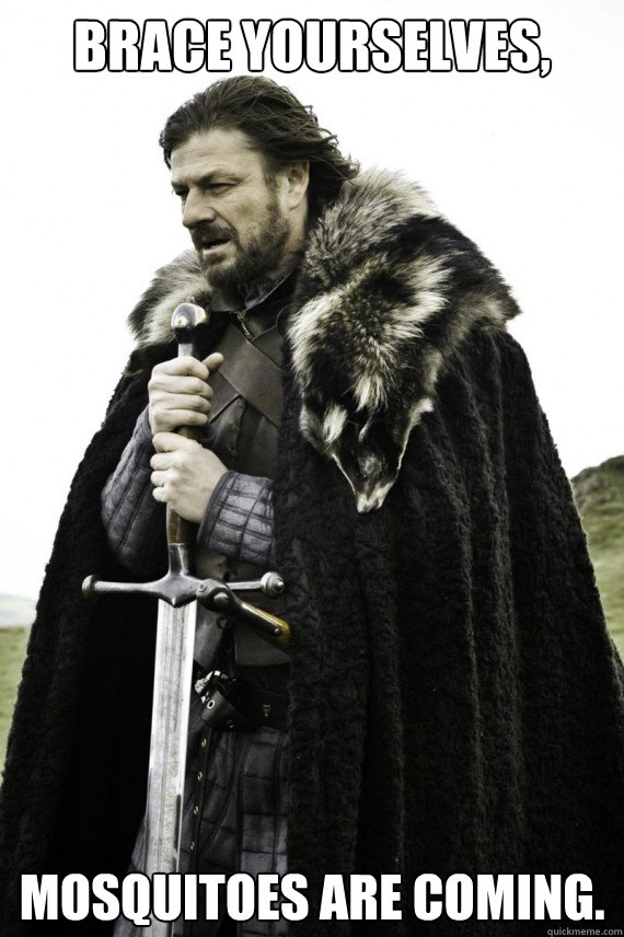 Brace yourselves, mosquitoes are coming. - Brace yourselves, mosquitoes are coming.  Brace yourself