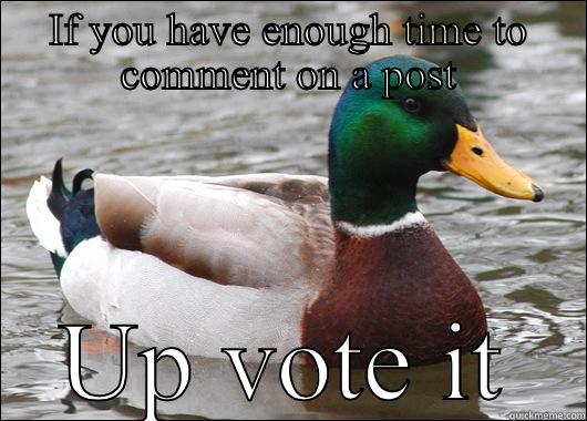 IF YOU HAVE ENOUGH TIME TO COMMENT ON A POST UP VOTE IT Actual Advice Mallard