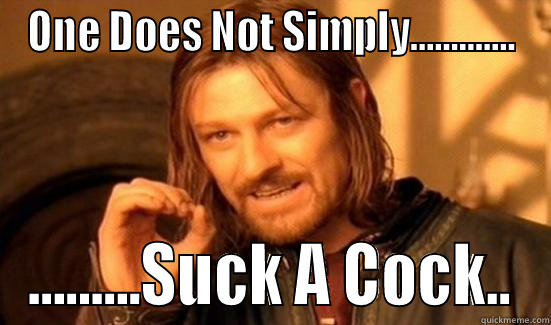 ONE DOES NOT SIMPLY............. .........SUCK A COCK.. Boromir