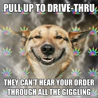 Pull up to drive-thru they can't hear your order through all the giggling  Stoner Dog