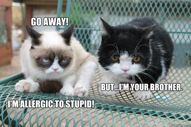 go away! I'm allergic to stupid!       but...i'm your brother.  