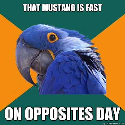 that mustang is fast on opposites day  Paranoid Parrot