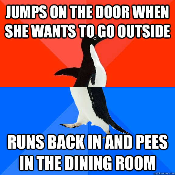 jumps on the door when she wants to go outside runs back in and pees in the dining room  Socially Awesome Awkward Penguin