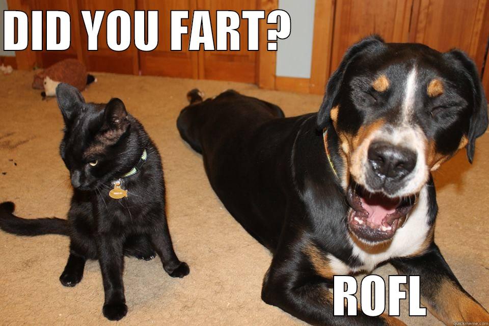 DID YOU FART?                                                      ROFL Misc