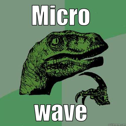 MICRO WAVE Philosoraptor