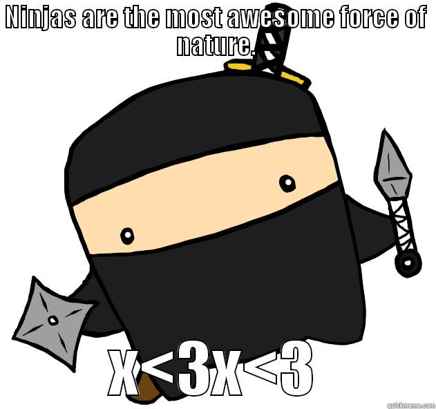 NINJAS ARE THE MOST AWESOME FORCE OF NATURE. X<3X<3 Misc
