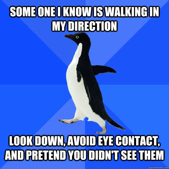 some one i know is walking in my direction look down, avoid eye contact, and pretend you didn't see them  Socially Awkward Penguin
