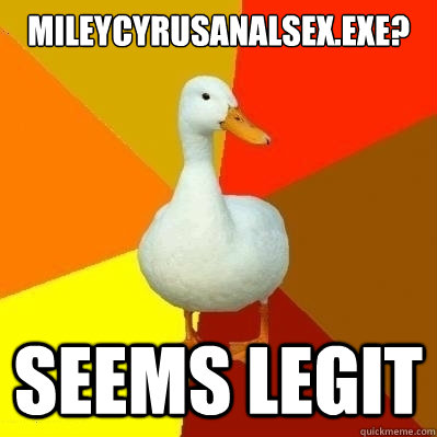 MileyCyrusanalsex.exe?  Seems Legit  