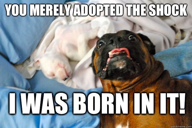 You merely adopted the shock I was born in it!   Surprised Dog