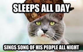 sleeps all day sings song of his people all night - sleeps all day sings song of his people all night  Misc