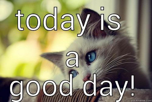 TODAY IS  A GOOD DAY! First World Problems Cat
