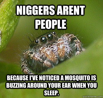 NIGGERS ARENT PEOPLE Because I've noticed a mosquito is buzzing around your ear when you sleep. - NIGGERS ARENT PEOPLE Because I've noticed a mosquito is buzzing around your ear when you sleep.  Misunderstood Spider
