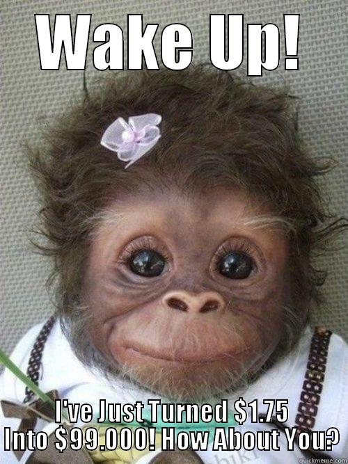 Wake up monkey - WAKE UP! I'VE JUST TURNED $1.75 INTO $99.000! HOW ABOUT YOU? Misc