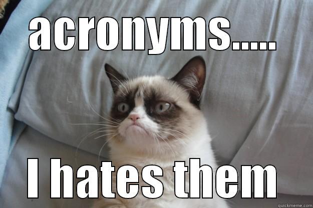 ACRONYMS..... I HATES THEM Grumpy Cat