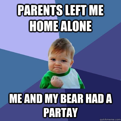Parents left me home alone me and my bear had a partay  Success Kid