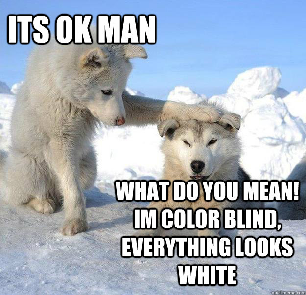 its ok man what do you mean! im color blind, everything looks white - its ok man what do you mean! im color blind, everything looks white  Caring Husky