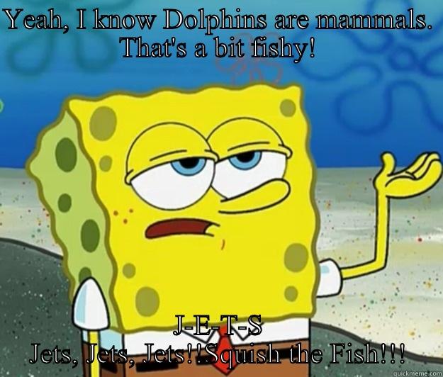 YEAH, I KNOW DOLPHINS ARE MAMMALS. THAT'S A BIT FISHY! J-E-T-S JETS, JETS, JETS!!SQUISH THE FISH!!! Tough Spongebob