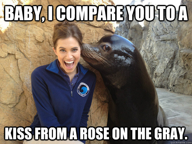 Baby, I compare you to a kiss from a rose on the gray.  Crazy Secret