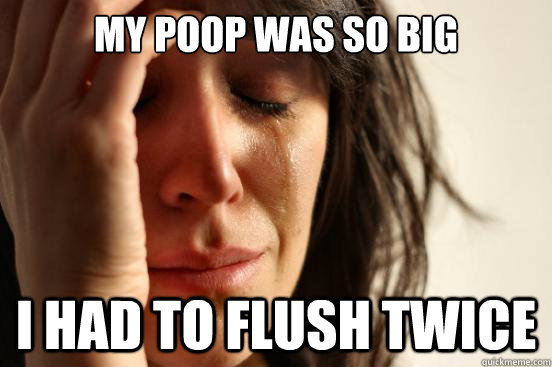 My poop was so big I had to flush twice  First World Problems