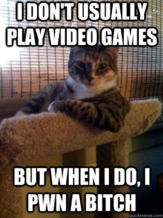I don't usually play video games but when I do, I pwn a bitch  The Most Interesting Cat in the World