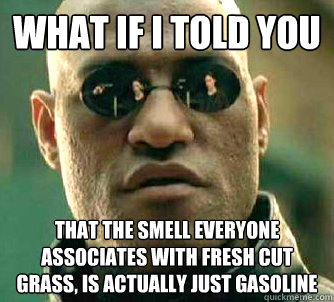 what if i told you That the smell everyone associates with fresh cut grass, is actually just gasoline  Matrix Morpheus