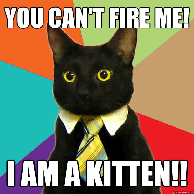You Can't Fire me! I am a Kitten!! - You Can't Fire me! I am a Kitten!!  Business Cat